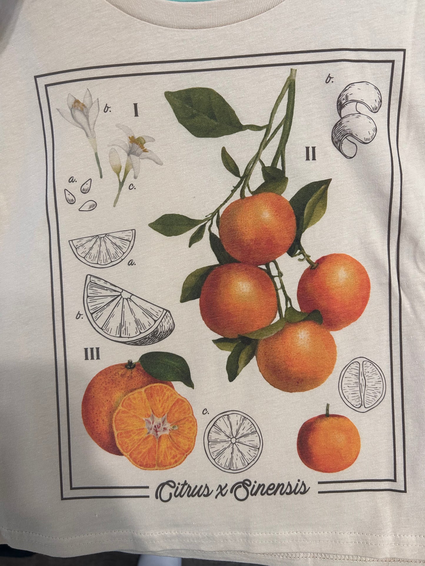 Tutti Frutti Crop Top Graphic Tee