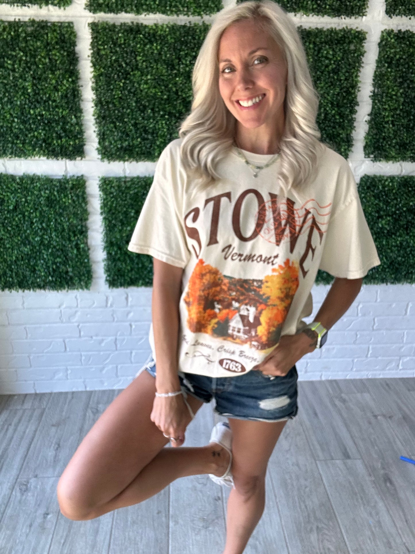 Stowe Village Tee