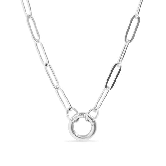 Carabiner Charm Holder-Stainless Steel Silver